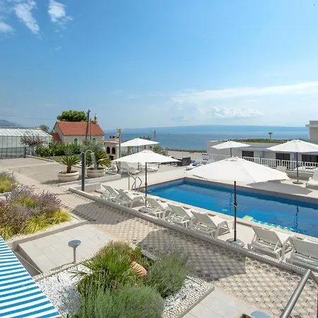 Kamelija 斯普利特