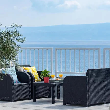 Kamelija 斯普利特